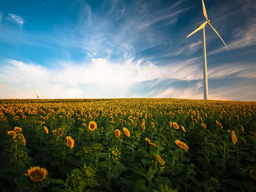 medioambiente-y-las-smart-cities-una-solucion-para-el-planeta